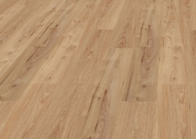 755_Butterscotch_Elm