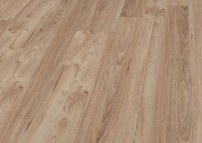 756_Dakota_Elm