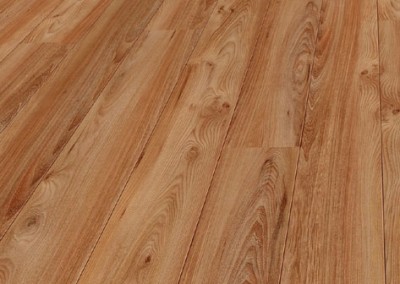 757_Amber_Elm