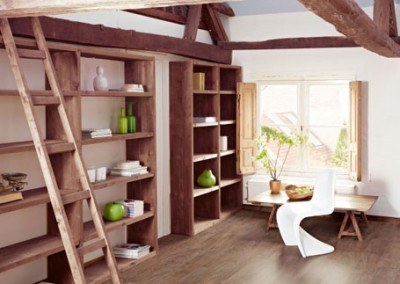 Authentic_Style_Plus_539